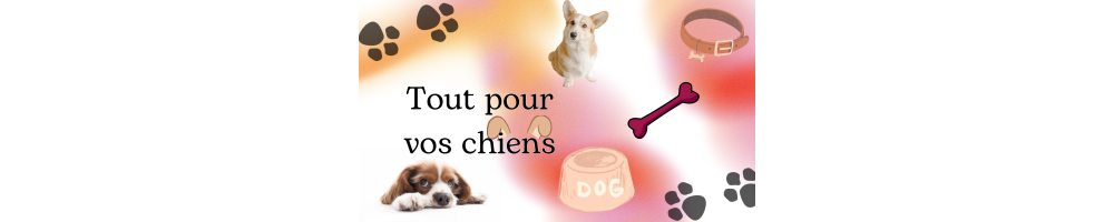 Chiens