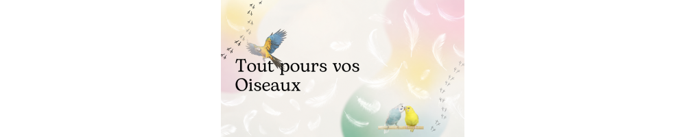 Oiseaux
